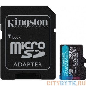 Карта памяти Kingston SDCG3/256GB 256 Гб