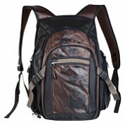 Рюкзак для ноутбука Grizzly RU-210-2-15