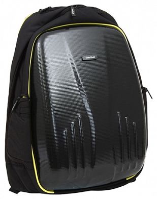 Рюкзак для ноутбука DataShell CBP-AR17-FC