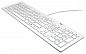 Клавиатура BTC 6311U Ultra Slim Keyboard White USB