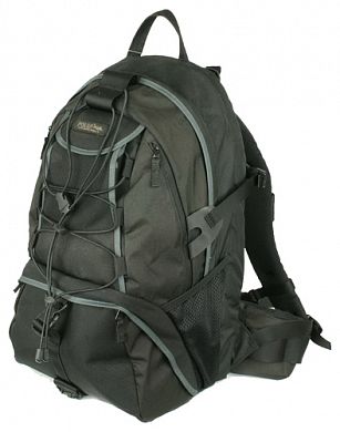 Рюкзак для ноутбука Polar П1397