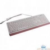 Клавиатура A4Tech fk10 USB (1192155)