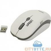 Мышь SmartBuy sbm-344cag-wg USB (SBM-344CAG-WG) комбинированная расцветка