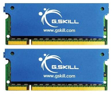 Оперативная память G.SKILL F2-5300CL5D-4GBSA DDR2 4 Гб (2x2 Гб) SO-DIMM 667 МГц