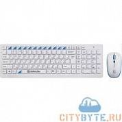 Комплект клавиатура + мышь Defender skyline 895 USB (45895) комбинированная расцветка