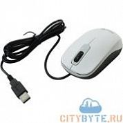 Мышь Genius DX-110 USB (31010009401) белый