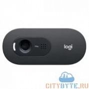 Web-камера Logitech С505 (960-001364) черный