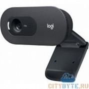 Web-камера Logitech C505e (960-001372) черный
